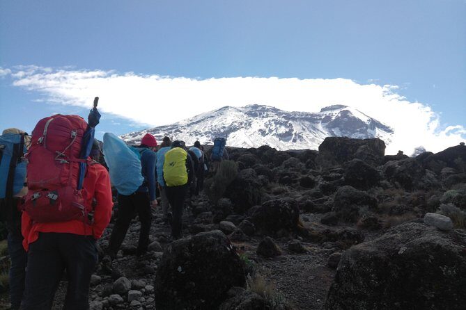 7 days Lemosho route Climbing Mt.Kilimanjaro - How Does the Experience Feel?