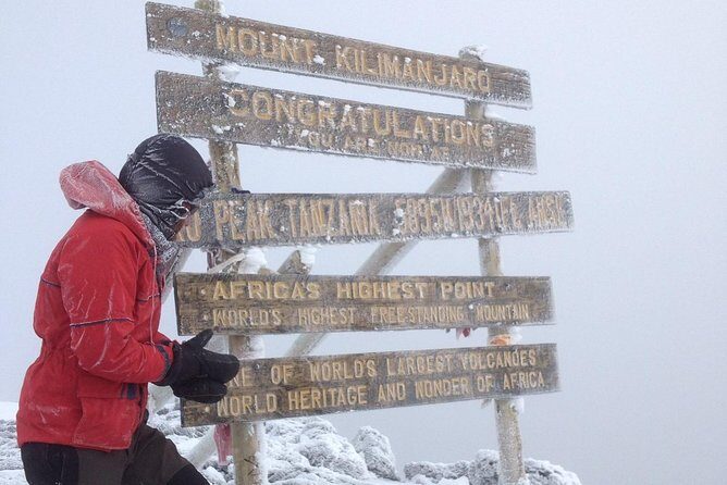 7 days Lemosho route Climbing Mt.Kilimanjaro - Is It Worth the Cost?