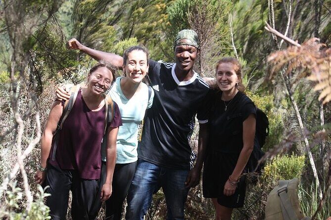 7 Days Lemosho Route Kilimanjaro Climbing | Solely Tours - Final Thoughts: Is This Tour Right for You?