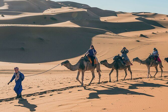 7 Days Luxury Desert Tour From Casablanca to Marrakech via fez -Camel trekking - FAQ