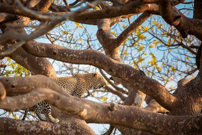7 Days Maasai Mara, Lakes Nakuru, Naivasha & Amboseli Group Tour - FAQs