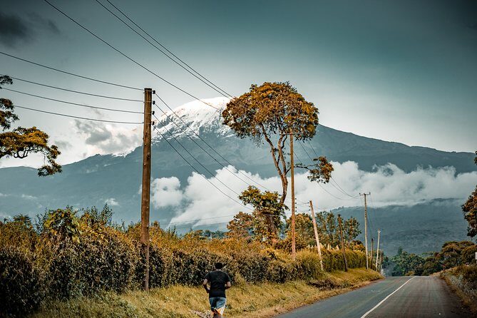 7 Days Machame route - Kilimanjaro - The Sum Up