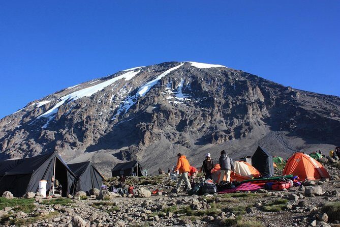 7 Days Machame Route Kilimanjaro Trekking - Key Points