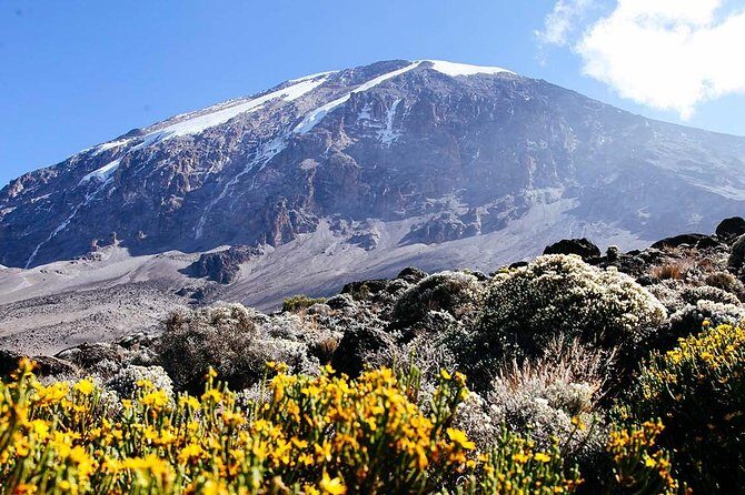 7 Days Machame Route Trek Mount Kilimanjaro - The Experience: What to Expect on the Machame Route Trek