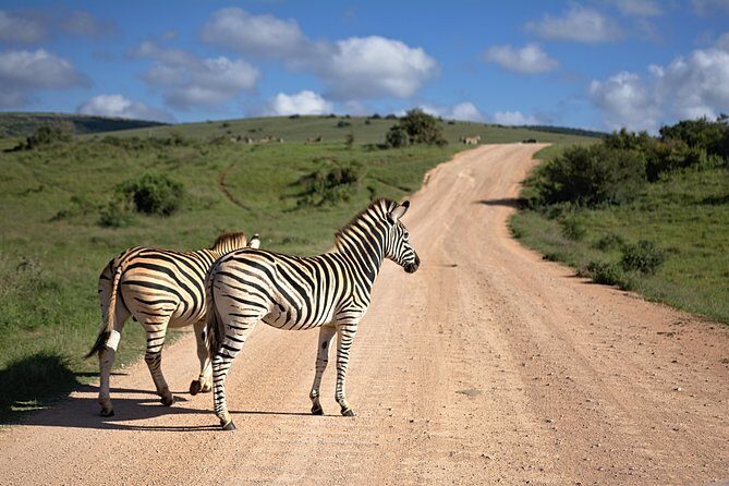 7 Days Mara/L.Naivasha/L.Nakuru/Amboseli - What Does This Tour Mean for You?