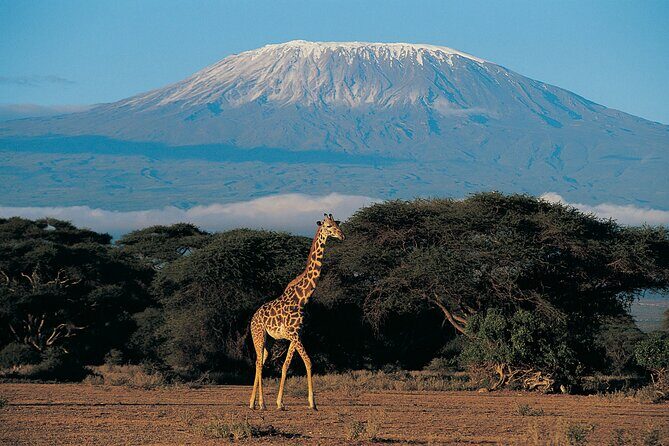 7 Days Mount Kilimanjaro Climbing via Machame Route - Key Points