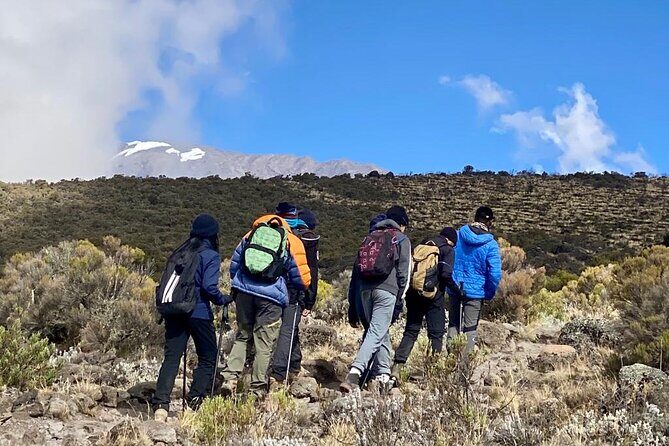 7 Days Mount Kilimanjaro Machame Route - The Itinerary in Detail