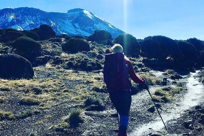 7 Days Mount Kilimanjaro Machame Route - Practical Considerations and Tips