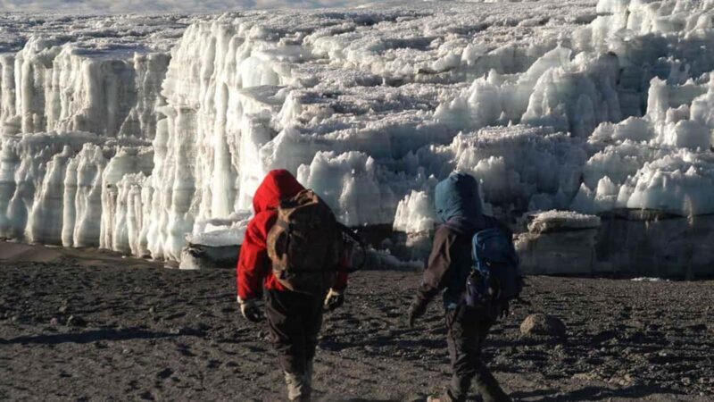 7-Days Mount Kilimanjaro Machame Route Trekking & Transport - Introduction: A Trek to Remember