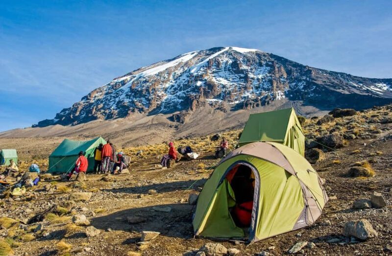 7-Days Mount Kilimanjaro Machame Route Trekking & Transport - The Day-by-Day Experience: What to Expect