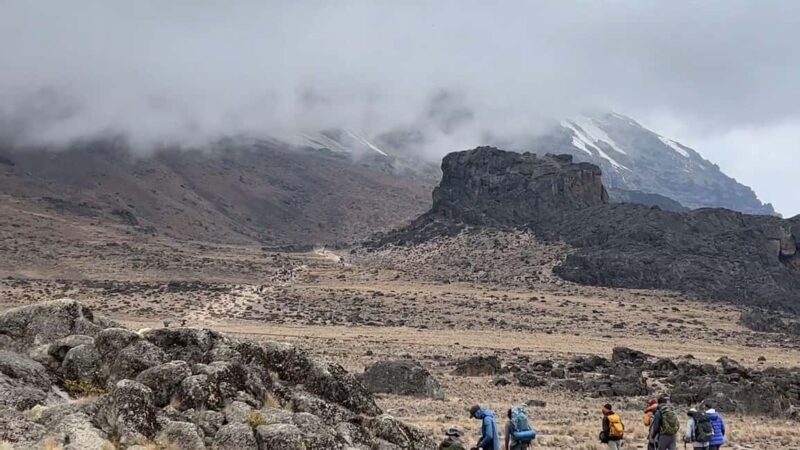 7-Days Mount Kilimanjaro Machame Route Trekking & Transport - Final Thoughts
