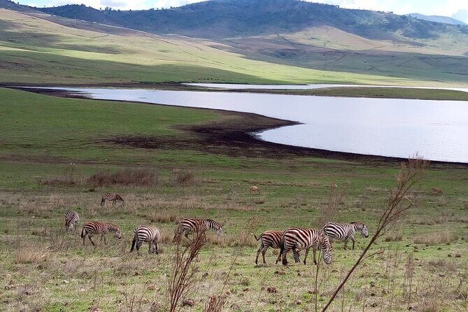7 days Mt Kilimanjaro,Tarangire NP, Ngorongoro, Serengeti NP, Lake Manyara NP - A Detailed Look at the 7-Day Tanzanian Safari and Kilimanjaro Trek