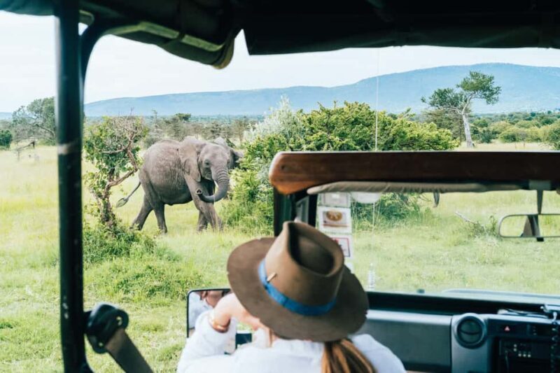 7 Days Ngorongoro, Serengeti Lake Manyara With Hadzabe Tribe - Key Points