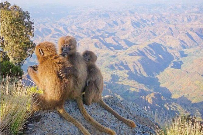7 Days Northen Ethiopia Tour - Starting in Addis Ababa: The Gateway to Ethiopia’s Heritage