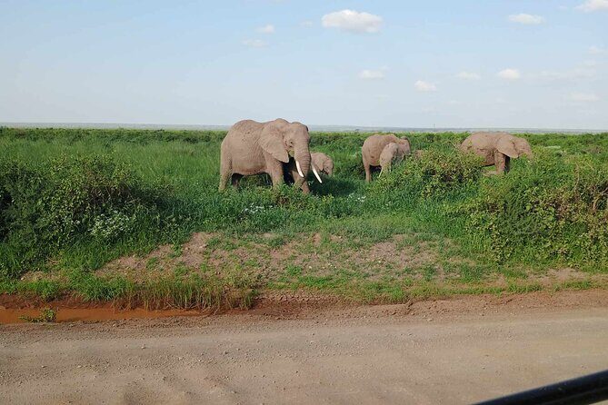 7 Days of Kenyan Wonders: A Mid-Range Safari Adventure - Key Points