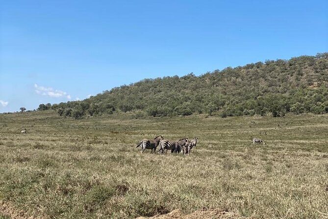 7 Days Private 4 star lodges Safari by LandCruiser from Nairobi - FAQ