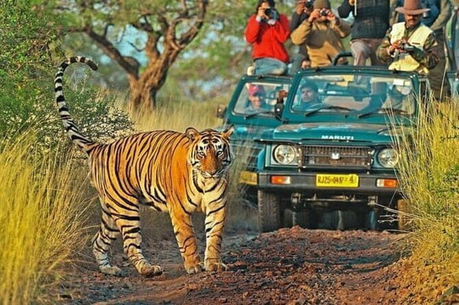 7 Days Private Golden Triangle and Ranthambore Tour - Introduction