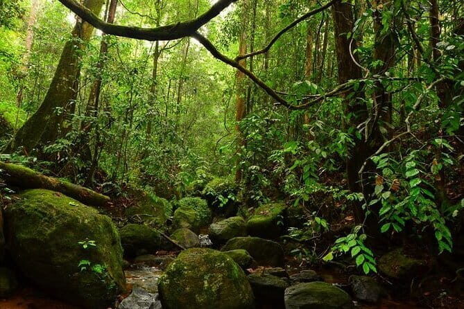 7 Days Private Guided Tour in Sri Lanka - Final Recommendations