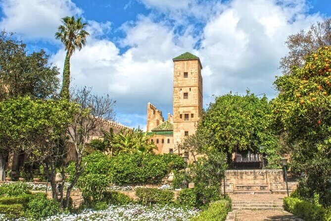 7 Days Private Historical Tour of 6 Cities in Morocco - Final Thoughts
