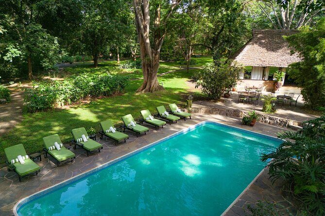 7-Days Private Midrange Safari; Serengeti & Ngorongoro Crater - Final Thoughts: Is This Safari Right for You?
