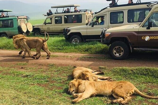 7 Days Private Safari in Tanzania - Who Is This Tour Best For?