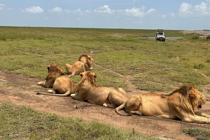 7 Days Private safari Tour in Tanzania - An in-depth look at what this safari offers
