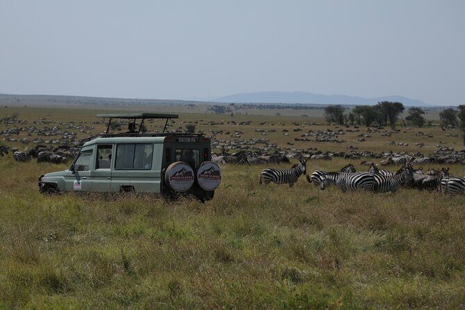 7 Days Private Serengeti Wildebeest Migration Tour - Key Points