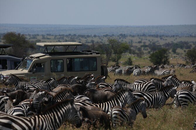 7 Days Private Serengeti Wildebeest Migration Tour - FAQs