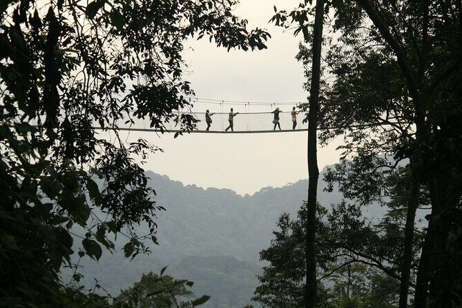 7 Days Private Tour of Rwanda - A Closer Look at the 7-Day Itinerary