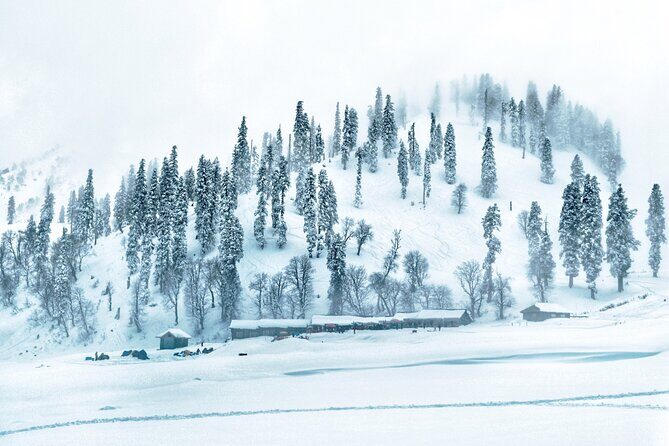 7 Days Private Travel Psychology Journey to Unseen Kashmir - Exploring the Itinerary: What You Can Expect