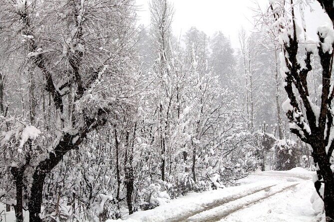 7 Days Private Travel Psychology Journey to Unseen Kashmir - The Sum Up: Is This Tour Right for You?