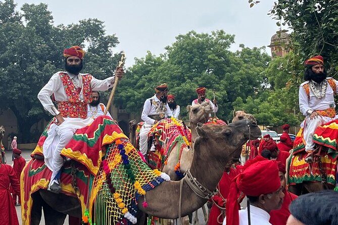 7 Days Ranthambore Tiger Safari and The Golden Triangle Tour - The Itinerary Breakdown: What You Can Expect