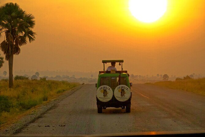 7 Days Safari and Rhino Trekking - An In-Depth Look at the Itinerary