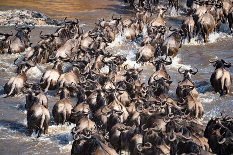 7 Days Safari Manyara, Serengeti, Ngorongoro and Mto Wa Mbu - FAQs