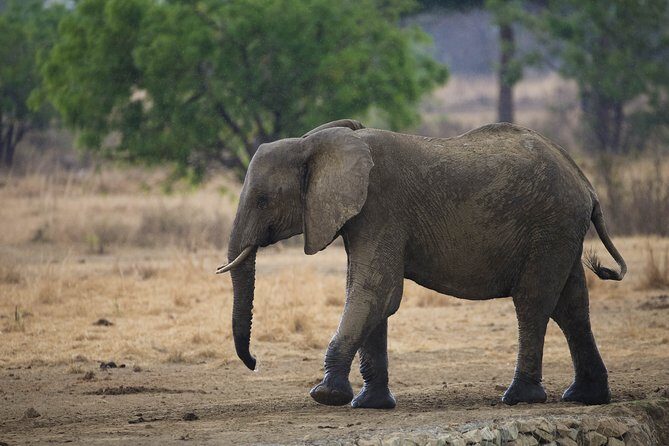 7 Days Safari. Serengeti, Tarangire, Lake Manyara & Ngorongoro Crater. - Who Will Love This Safari?