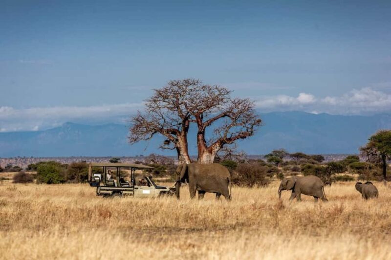 7 Days Samburu-Nakuru-Naivasha-Masai Mara Ultimate Adventure - Discover Kenya’s Wildlife in 7 Days: An In-Depth Review of the Samburu-Nakuru-Naivasha-Masai Mara Tour