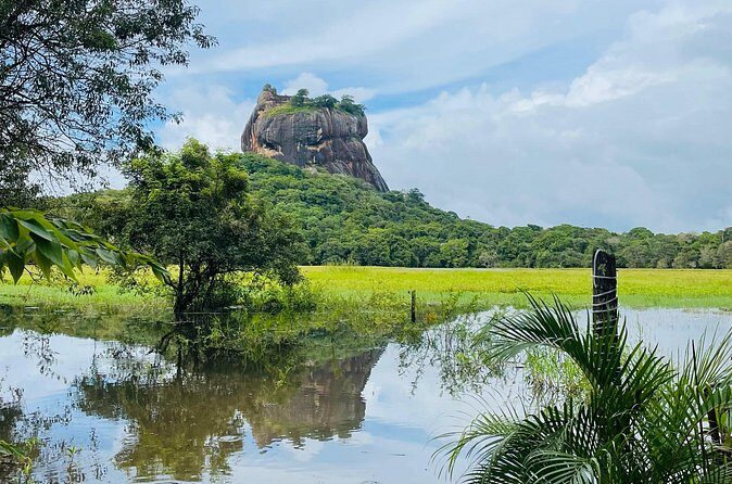 7 Days Sri Lanka Safari Tour - The Sum Up: Who Should Consider This Tour?