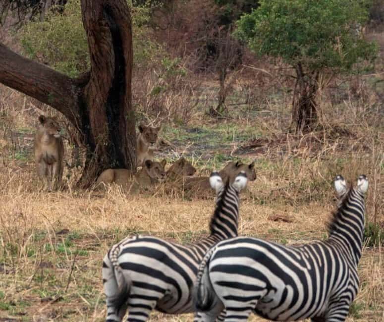 7 Days Tanzania Experience Safaris - Key Points