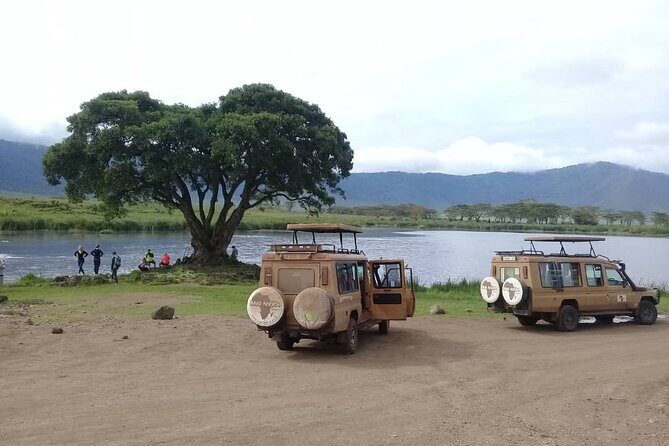 7 Days Tanzania Mid-range lodge safari - An Overview of the Tanzania Safari Experience