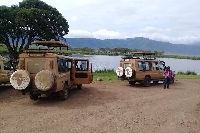 7 Days Tanzania Mid-range lodge safari - The Real Travelers’ Perspectives