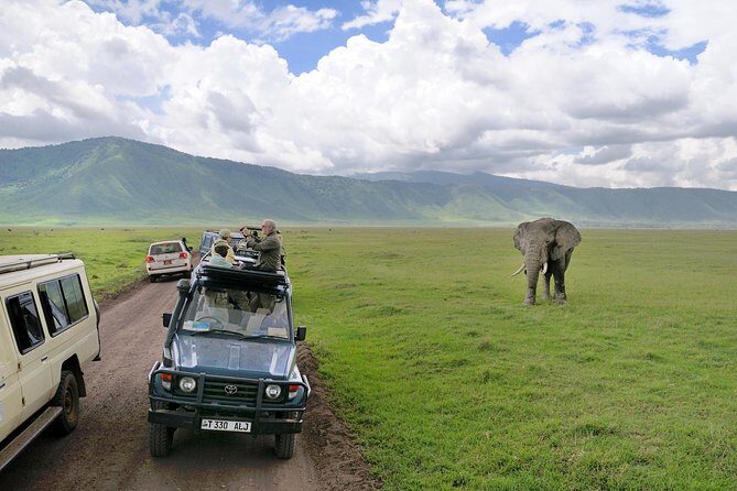 7 Days Tarangire, Serengeti, Ngorongoro & Manyara Camping Safari Tour Tanzania - Authentic Encounters and Highlights