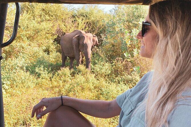 7 Days Tour in Sri Lanka Hotels with Breakfast and Luxury Car - Introduction