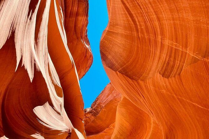7 Days Tour of Los Angeles, Vegas, Yellowstone and Salt Lake City - Final Thoughts: Who Will Love This Tour?