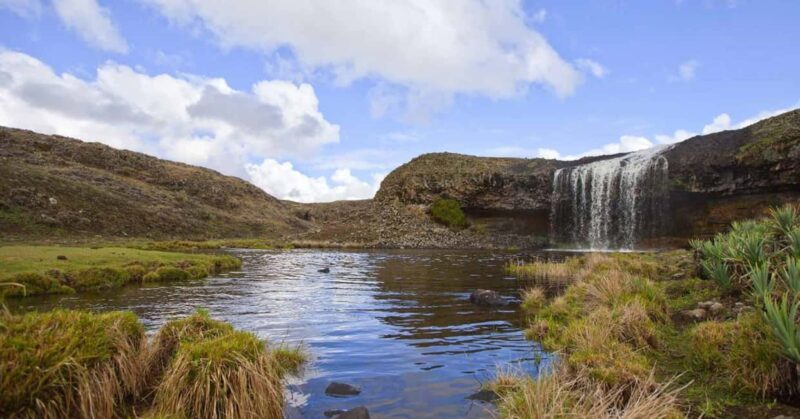 7 Days Visiting Bale Mountain - Why Choose the Bale Mountains Tour?