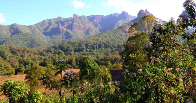 7 Days Visiting Bale Mountain - What We Think About the Experience
