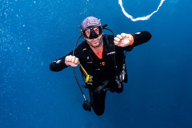 7 Fun Dives in Pemuteran (for certified divers) - Exploration in Menjangan Park - Introduction: Why Consider These 7 Dives?