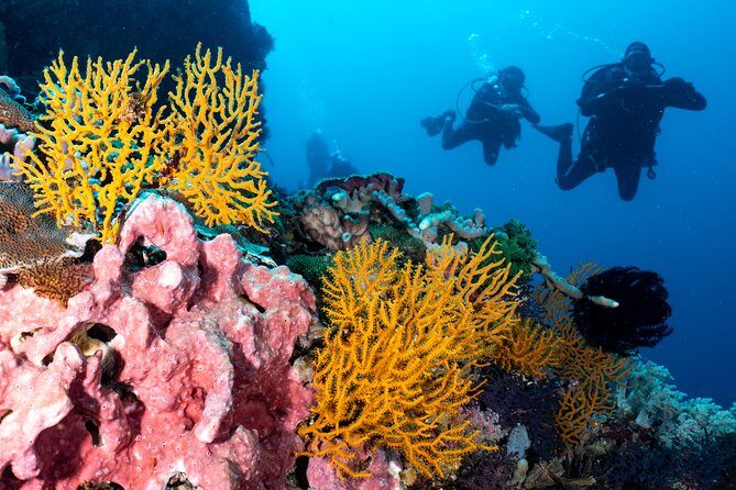 7 Fun Dives in Pemuteran (for certified divers) - Exploration in Menjangan Park - Guides and Equipment: A Closer Look