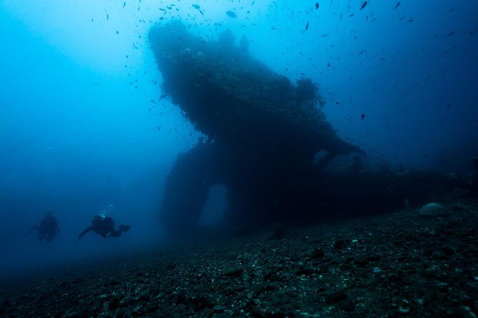 7 Fun Dives in Tulamben (for certified divers) - Premium Value Package - The Sum Up