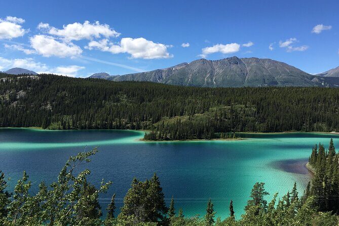 7 Hour Private Emerald Lake Van Excursion - An In-Depth Look at the Tour Experience
