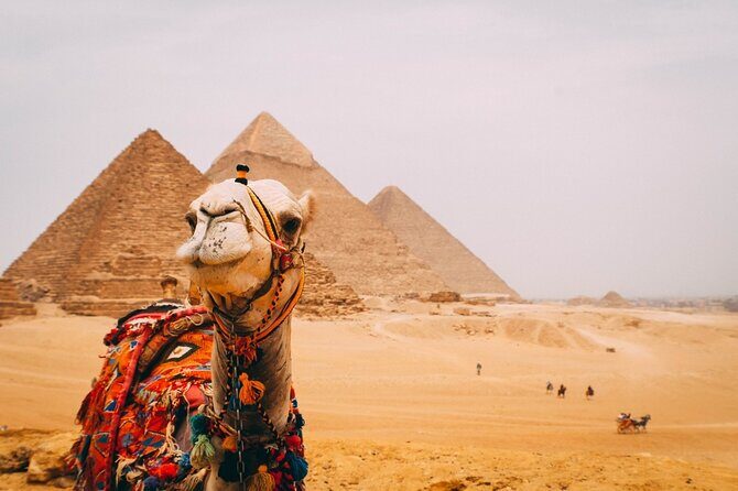 7 Hour Private Tour in Pyramids of Giza and The Egyptian Museum - Frequently Asked Questions (FAQs)